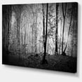 thumbnail image 2 of Magnifique Panorama de Matinée en Forêt - Impression sur Toile d'Art Paysager, 2 of 3