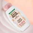 thumbnail image 3 of Garnier Whole Blends Oat Delicacy Shampoo, 370 mL, 3 of 5