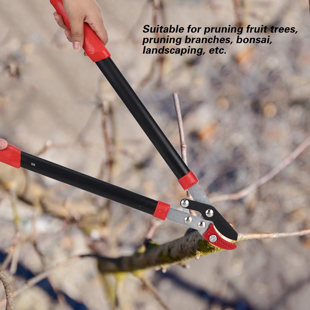 Pruning Loppers,  Sk5 High-carbon Steel Pruning Shears, Screw Fixing Trimming Bonsai Twigs for Garden