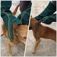 thumbnail image 3 of 1 Paire de Gants de Protection pour Animaux de Compagnie, Gants de Protection Résistants aux Morsures pour Reptiles, 3 of 8