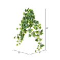 thumbnail image 3 of Vickerman 28" Varigated Green Ivy Hanging Bsh 2/Pk - FZ190228, 3 of 3