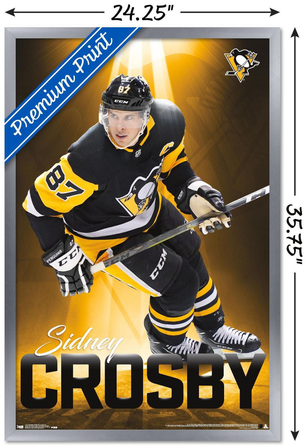 NHL Pittsburgh Penguins - Sidney Crosby 18 Wall Poster