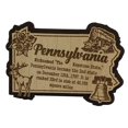 thumbnail image 2 of USA Pennsylvania State Map Wooden Magnet Souvenir Fridge Magnet Gift, 2 of 4