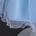 thumbnail image 4 of Robe de Princesse Sans Manches en Dentelle pour Fillette, Robe de Fête en Tulle, Vêtements de Cosplay, 4 of 9