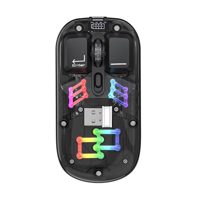 Graflsoa Souris Sans Fil Transparente à Double Mode H118 avec Éclairage RVB, 2,4 G+Bluetooth, 1600 Dpi Réglable, Couverture Magnétique, Charge USB‐C, Batterie 400 mAh, Commutateur Silencieux, 11 Modes d'Éclairage,