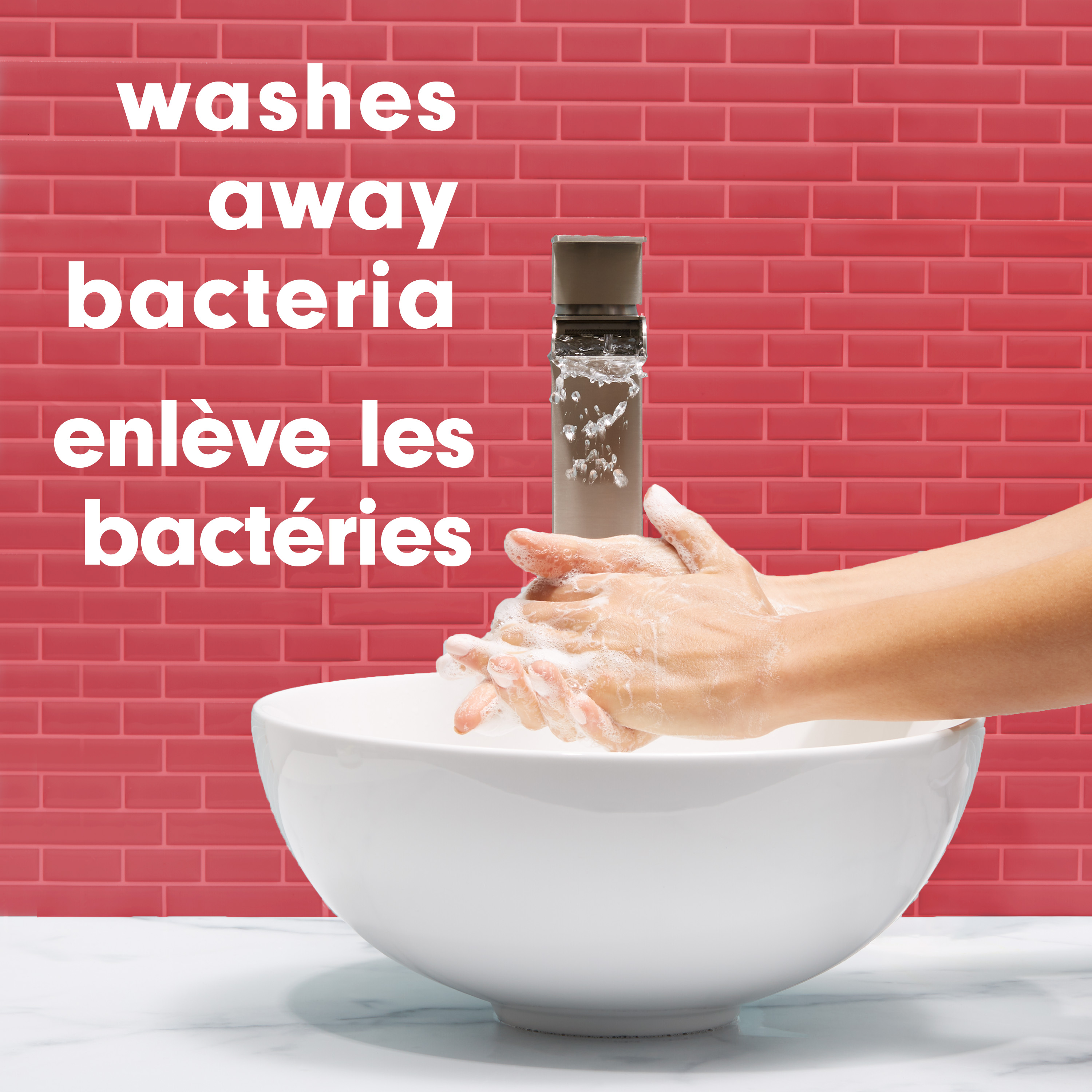 Softsoap Savon Liquide pour les Mains Renewed, sans Parabène, Parfum Prune et Jasmin, 332 mL