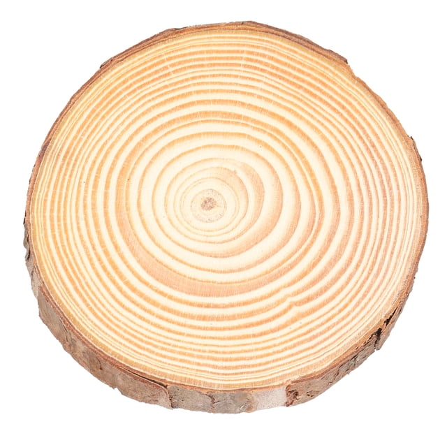 Pièces Centrales, Tranches de Bois Naturel Rondes en Pin Non Finies avec Écorce d'Arbre Performance Finement Réglée