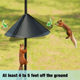 thumbnail image 3 of Urban Deco 80-inch Birdhouse Pole Mount Kit with Squirrel Baffle, 3 of 7
