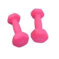 thumbnail image 5 of OULII One Pair Workout Dumbbell Iron Frosted For Women Lose Weight, 5 of 5