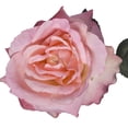 thumbnail image 4 of Tige de Rose Artificielle, 4 of 5