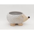 thumbnail image 1 of hometrends Pottery White Hedgehog Planter, 1 of 2
