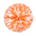 thumbnail image 1 of 2PCS Cheerleaders Handheld Color Flower Sports Activities Performance Cheering Supplies Round High Density Color Strip Lightweight Double Finger Ring Buckle Design Anti Slip Off, 1 of 4