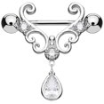 thumbnail image 1 of 1 Paire Anneau de Mamelon en Acier Inoxydable Clips de Mamelon Anti-Perforation Pinces pour Femmes Filles (Argent), 1 of 1