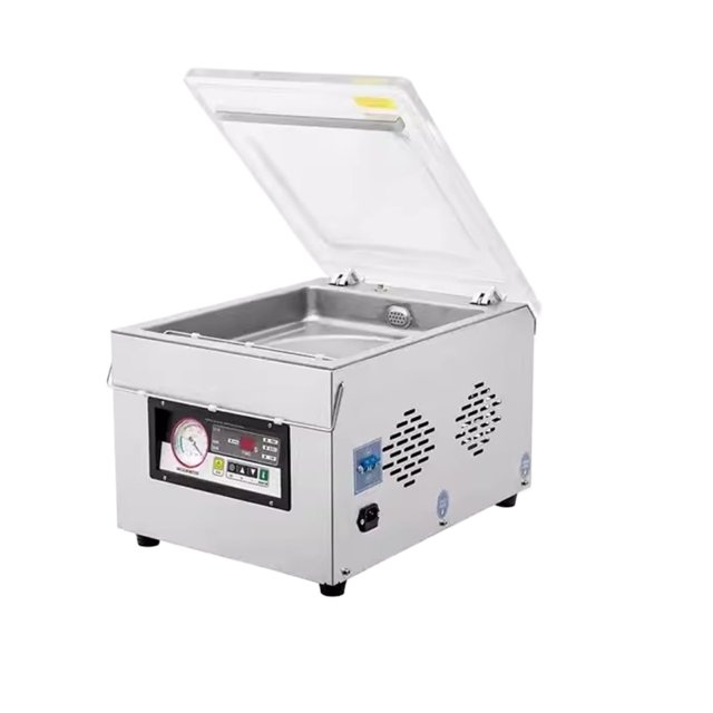 DZ-300 Scelleuse sous Vide Multifonction de Bureau à 1 Chambre pour Aliments, Riz, Poulet, Poitrine, Viande, Poisson, Steak, Mini Machines d'Emballage sous Vide