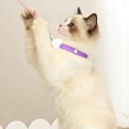 thumbnail image 2 of Interactive Smart Cat Collar with Wearable LED Lights for Indoor Exercise and Amusing, 2 of 5