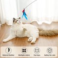 thumbnail image 3 of 3 Pcs Tête de Rechange en Plumes Jouet pour Chat Jouet Interactif, 3 of 5