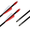 thumbnail image 2 of Runzkzy 29inch Fiberglass 6/12 PCS Archery and Hunting Arrows Combined with Recurve Bows and Arrows, 2 of 12