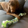 thumbnail image 3 of Dogit Knotted Rope Dog Toy, Multi-Coloured 3-Knot Looped Tug, 71 cm (28in), 3 of 5