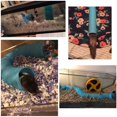 thumbnail image 5 of Small Animal Play Tunnel  Durable Resistant Plastic Guinea Pigs Tube  Fun Pet Tunnel Hideway for Guinea Pigs Chinchillas Rats, 5 of 5