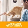 thumbnail image 2 of Arm & Hammer Multi Cat, Clean Burst, Litière agglomérante pour chats, 18 KG, 2 of 7