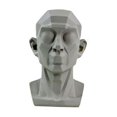 thumbnail image 1 of Planar Head Model For Artists Learn Planes of Face Human Head Model GT X1 Hot C9 L4Y7, 1 of 1