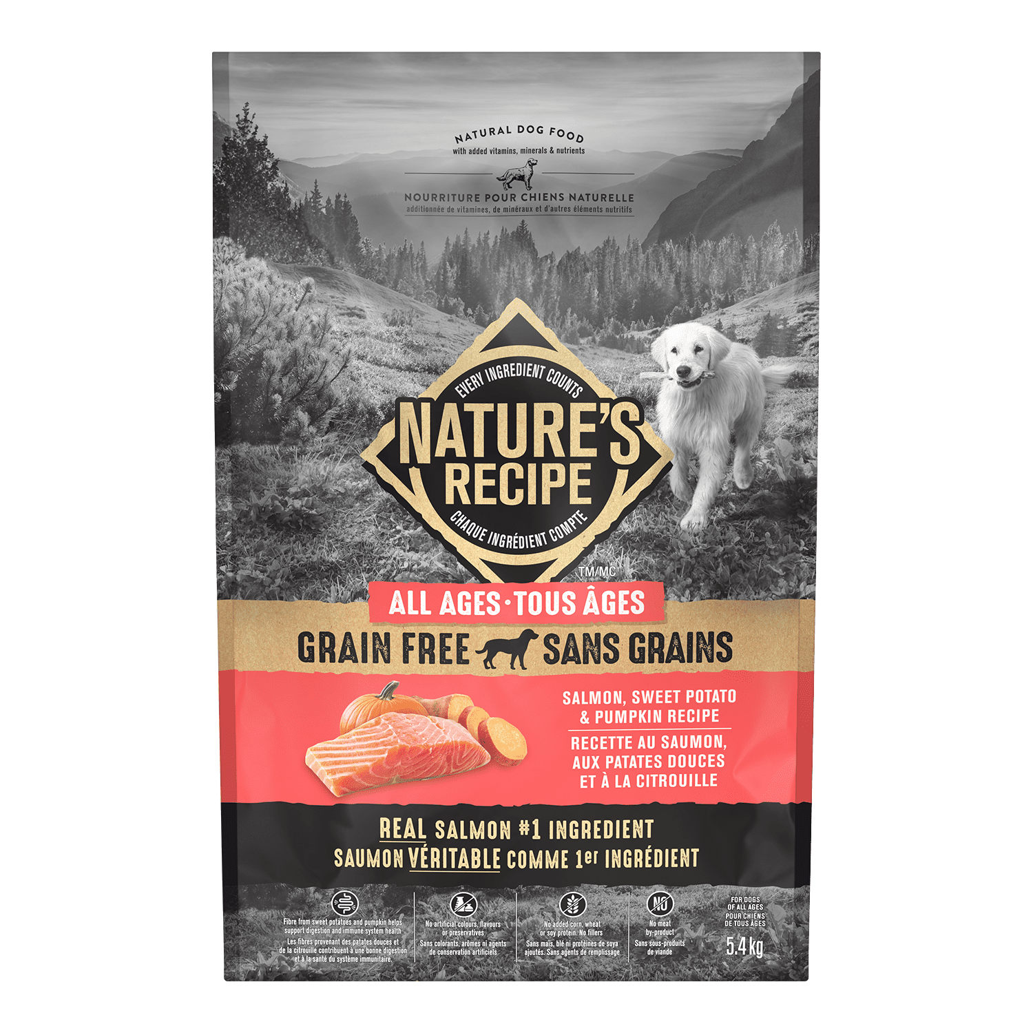 Natures Recipe 5.4KG Grain Free Adult Dog Food, Salmon