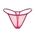 thumbnail image 4 of Vente de Liquidation 2025 Culottes pour Femmes, String en Maille Brodée, Taille Basse, Grande Taille, 4 of 4