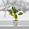 thumbnail image 4 of Fake Tree Fruit Simulation Lemon Bonsai Garden For Home Party Living Room Ornament Plants Potting, 4 of 5
