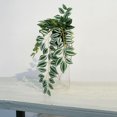 thumbnail image 4 of Lerman Decor hanging plant, 4 of 4