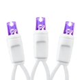 thumbnail image 3 of Novelty Lights 4x6 Outdoor Purple LED Net Lights, 100 Bulbs, White Wire, 3 of 5