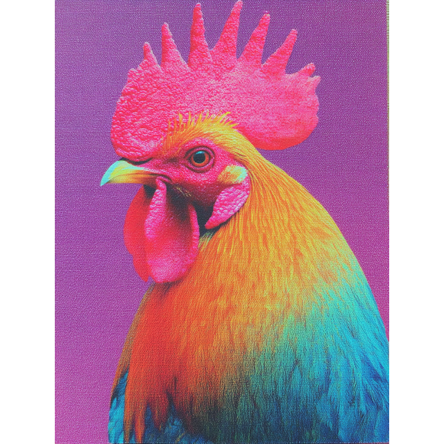 Rooster Artwork Kitchen Canvas Wall Art 15.75x11.81 Inches
