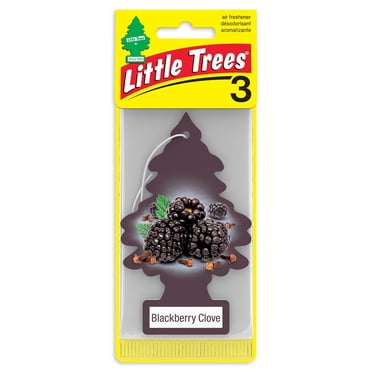 LITTLE TREES air freshener Blackberry Clove 3-Pack
