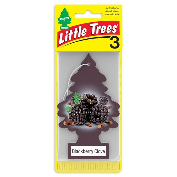 LITTLE TREES air freshener Blackberry Clove 3-Pack