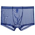 thumbnail image 1 of XZNGL Mens Mesh Comfortable Sweat-Absorbing Ultra-Thin Underwear with Flat Angle Pants, 1 of 2