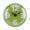 Vert, variante sur Peahefy Horloge de Salle de Bain, Horloge Étanche, Miroir de Fenêtre Mural à Ventouse Étanche pour Bain et Douche, Accessoires de Salle de Bain