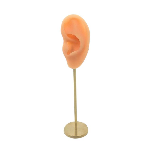 Earring Display Stand Human Ear Model Stud Decor Earring Display Holder Showcase Jewelry Organizer Left Normal Skin