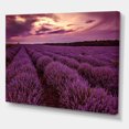 thumbnail image 3 of Designart Sunrise & Dramatic Clouds Over Lavender Field III Canvas Wall Art, 3 of 4