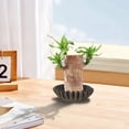 thumbnail image 3 of Bol Décoratif en Résine à Moins de 5 $! Yannianjz Bol Décoratif à Volants, Bol de Centre de Table en Résine, Déco de Table Basse, Bol de Décoration pour la Maison, Déco Maison Moderne, Bol de Rangement Décoratif, Pièce d'Accent pour le Salon, 3 of 3