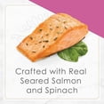 thumbnail image 4 of Fancy Feast Petites Entrée au Saumon Saisi avec Épinards dans une Sauce Nourriture Humide pour Chat 79,4 g, 79,4 g, 4 of 5