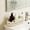 Beige#3886, variant on Adjustable Telescopic Plastic Storage Box Kitchen Cabinet Organizer for Snacks Seasoning and Household Sundries
