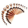 thumbnail image 3 of 36 Pieces Ear Gauges Stretching Kit Plugs Taper 14G-00G Expanders Rose Gold, 3 of 8