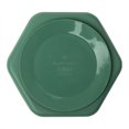 thumbnail image 2 of Tiny Twinkle - Silicone Plate - Olive Green, 2 of 3