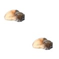 thumbnail image 4 of Redempat Doux pour Toucher l'Émulation Réaliste de Chat Endormi Chats Respirant pour une Expérience Confortable Large Application Mixte Jaune 2Set, 4 of 6