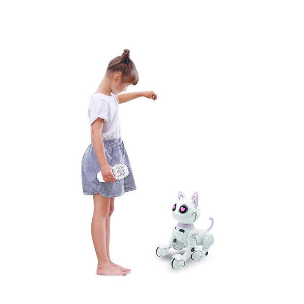 Power Kitty – My smart robotic kitty with programming function