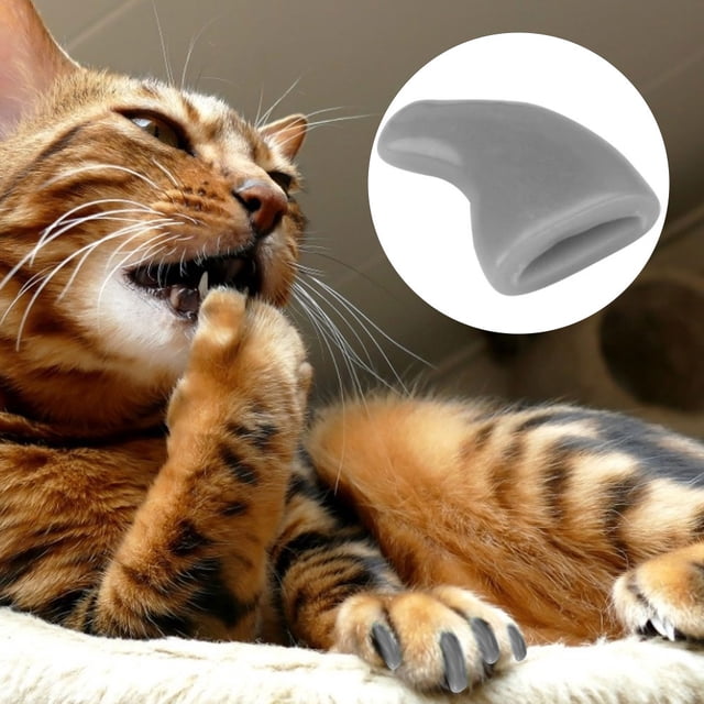 Cat Nail Caps, 100PCS PVC Pet Cat Soft Claws Nail Covers Cat Claw Caps Kitty Caps Anti Scratch Dog Claw Protector Decorative Covers for Small Medium Large Cat Kitten