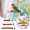 3Pcs natural rope bird pole Under $5 a1, variant on Vacemry 3Pcs Small Suction Cup Rope Bird Stand, Natural Rope Parrot Standing Pole, Bird Perch for Parakeets Cockatiels Lovebirds Finches, Indoor Window Cage Decor