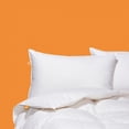 thumbnail image 2 of Canadian Down & Feather Company White Goose Feather Pillow Medium Support, 2 of 8