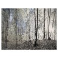 thumbnail image 2 of Design Art - Dark Morning in Forest Panorama, 2 of 3