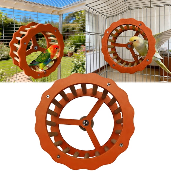 Tong Roue d'Exercice et Direction pour Perroquet, Centre d'Activités Interactif pour Oiseaux avec Bois à Mâcher pour Conures et Perruches, 1 Pce