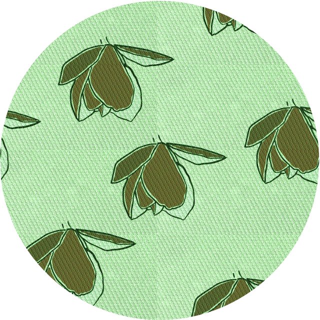 Ahgly Tapis Rond Lavable en Machine Intérieur Transitionnel Vert, 3 Pieds Rond